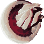 Image of a Big Red Jellyfish