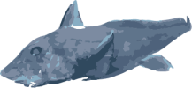 Image of a Chimaeras